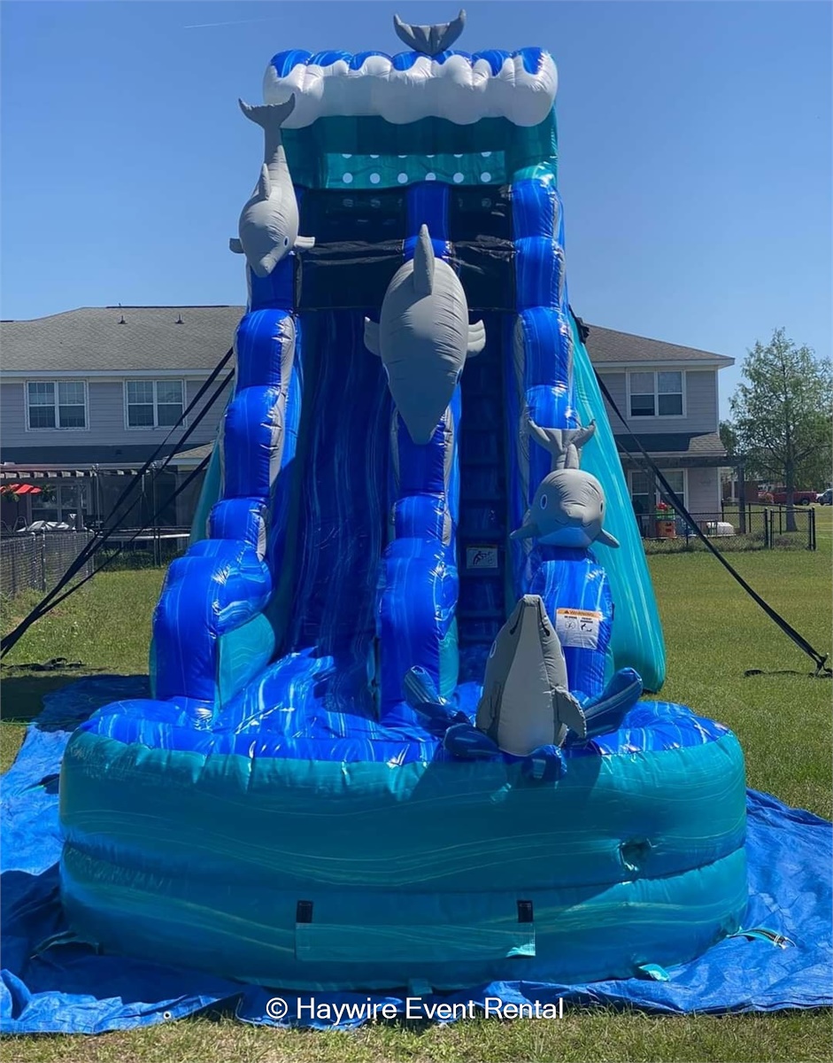Dolphin Daze 19ft Waterslide Best Bounce House Rental & Foam Party